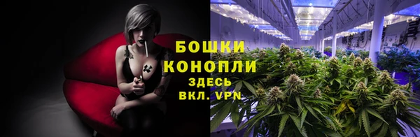 ГАЛЛЮЦИНОГЕННЫЕ ГРИБЫ Новодвинск