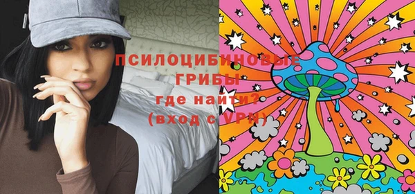 трава Абаза