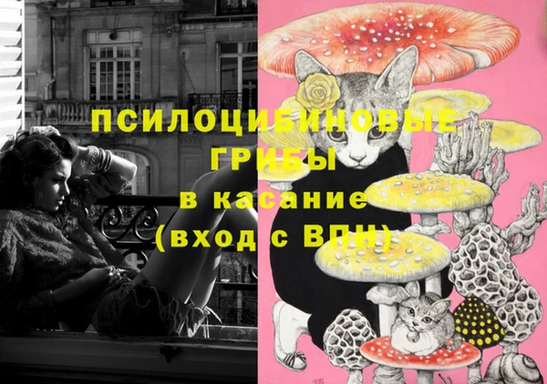 мескалин Нефтекумск