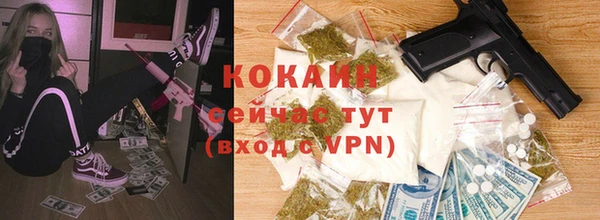 тгк Нея